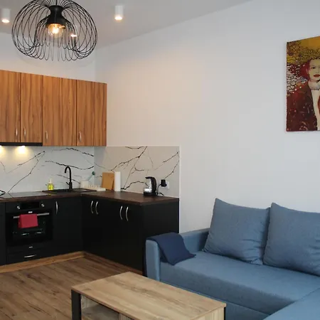 Ali 5 Apartment Sosnowiec